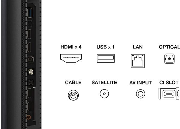 Fernseher 55