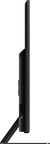 Television 55