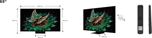 Television 65
