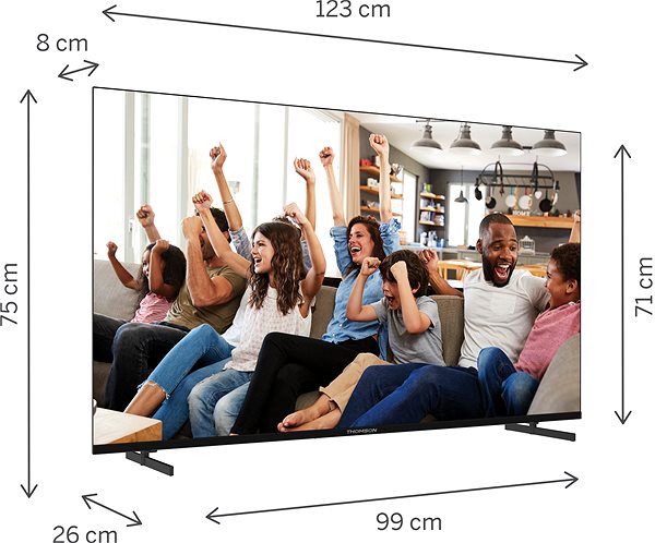 Television 55