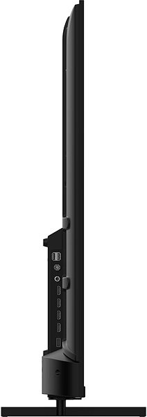 Television 55
