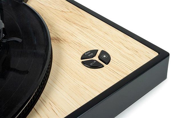 Turntable Thomson TT300 ...