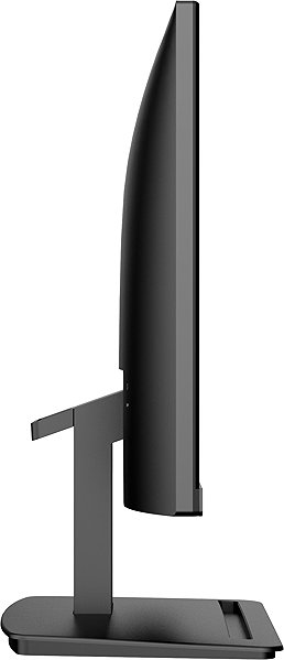 Monitor 22