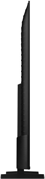 Television 55