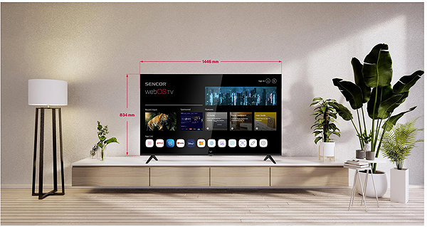 Fernsehen 65