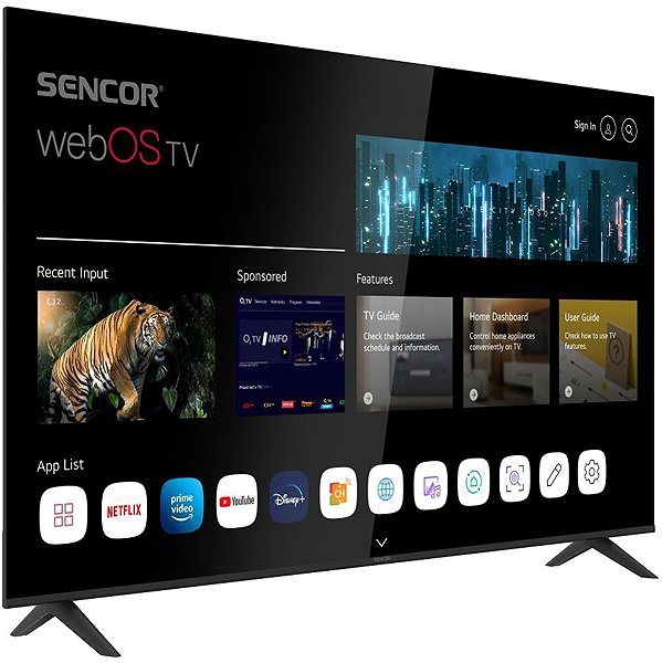 Television 65