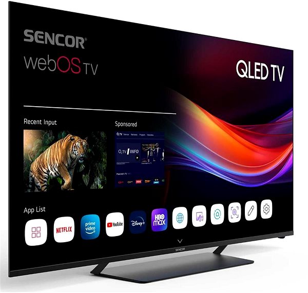 Television 65