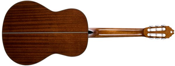 Klassische Gitarre WASHBURN C40-A-U Rückseite