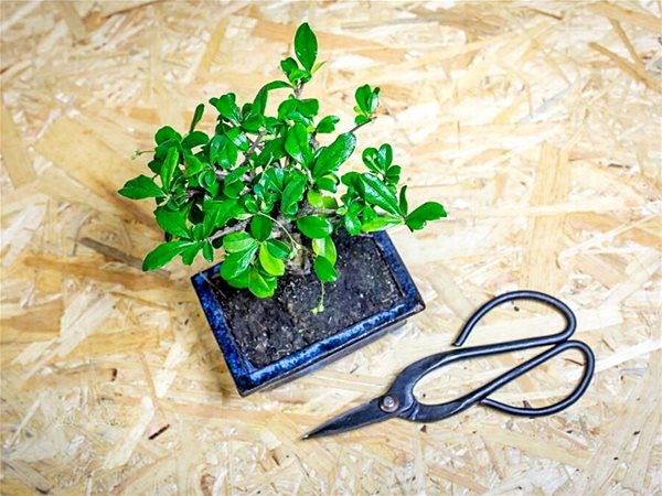 ESSCHERT DESIGN Bonsai shears 12 cm, steel .