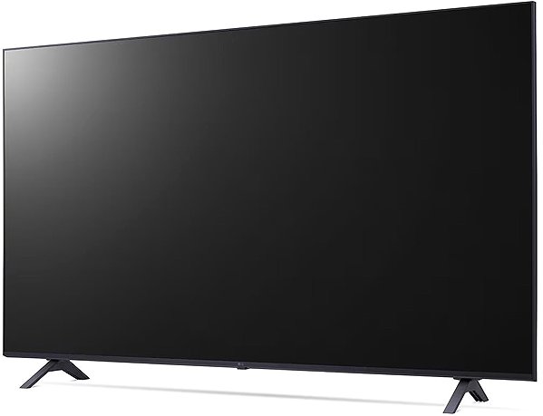 Large-Format Display 65