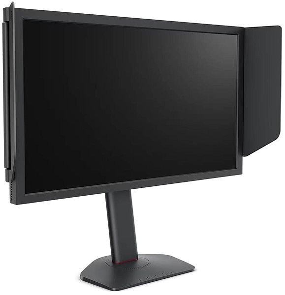 LCD monitor 24,1