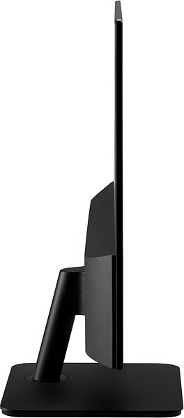 Monitor 24