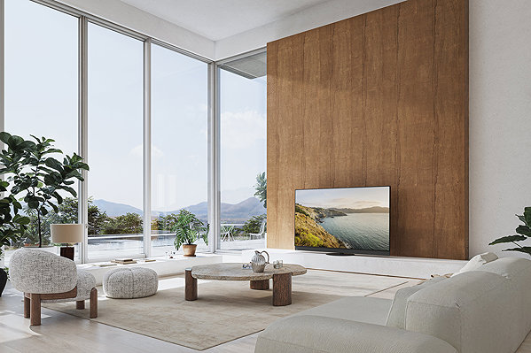 Television 65