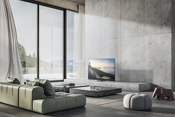 Television 65