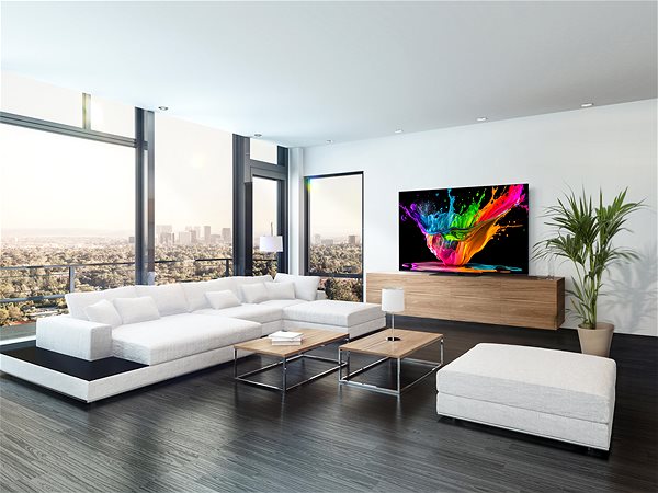 Television 55