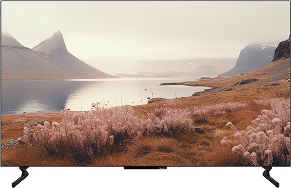 Television 55