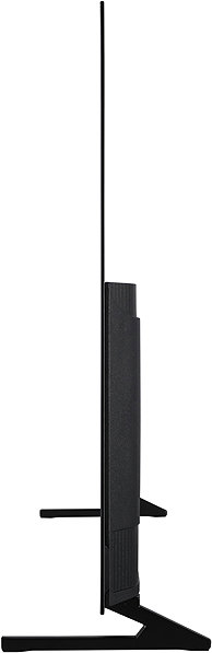 Television 55