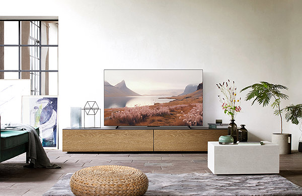 Television 55