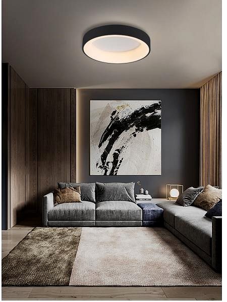 Ceiling light Brilagi LED Dimmable ceiling light led/40W/230V 3000-6500K, black + DO .