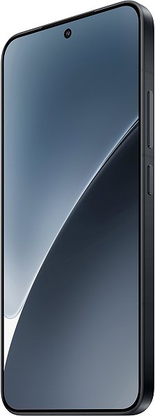 Handy Xiaomi 15 5G 12 GB / 256 GB Black ...