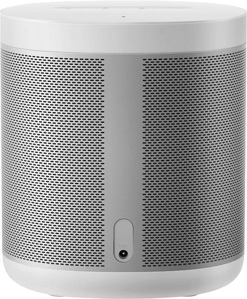 Bluetooth Speaker Xiaomi Mi Smart Speaker Connectivity (ports)