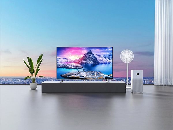 Television 55