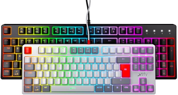 Gaming Keyboard Xtrfy K4 TKL RGB, Kailh Red, Retro (US) ...