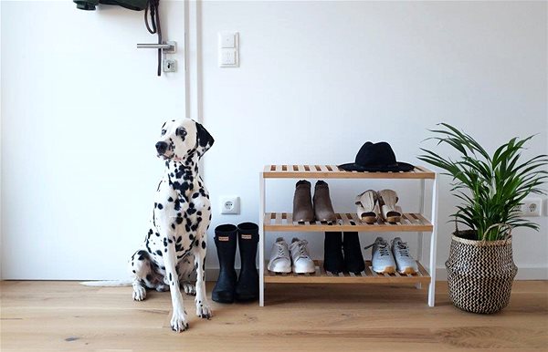 Shoe Rack Zeller Shoe rack with 3 shelves, bamboo ...