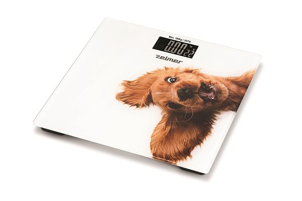 Zelmer ZBS1010 bathroom scales.