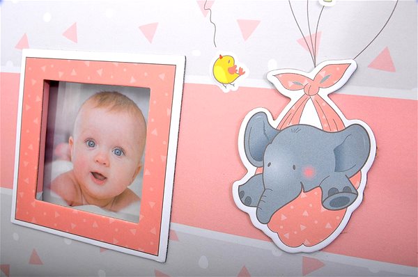 Photo Album ZEP Baby Pierre Pink Big Features/technology