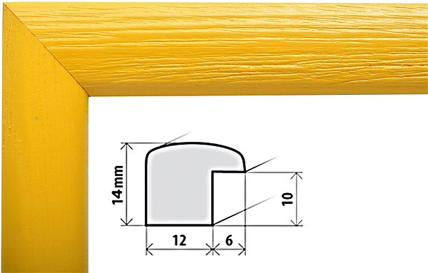 Photo Frame ZEP Photo Frame 10 x 15cm Gold Features/technology
