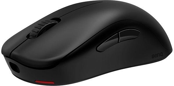 Gaming Mouse ZOWIE by BenQ U2-DW ...