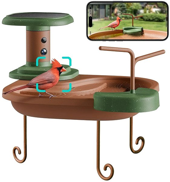 Birdfy Bath Jolly O bird bath with camera.