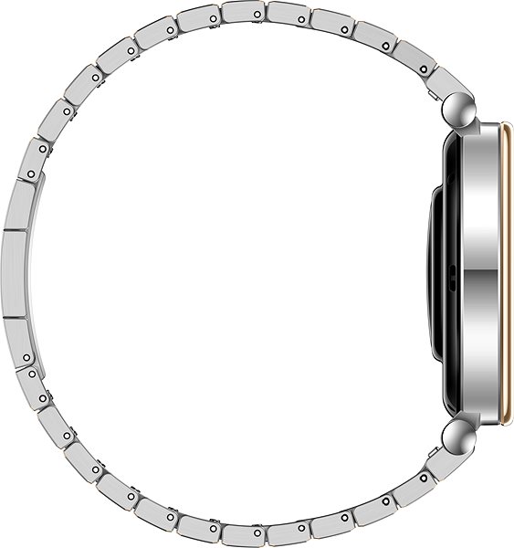 Smart Watch Huawei Watch GT 4 41 mm Stainless Steel Strap ...
