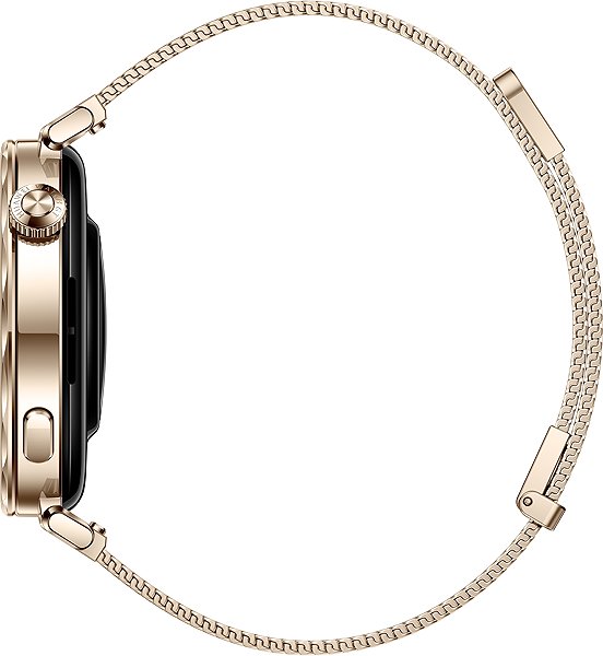 Smart Watch Huawei Watch GT 5 41 mm Milanese ...