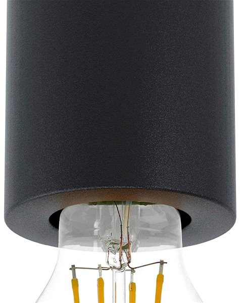Ceiling Light Eglo 99065 - Ceiling Light - SALUZZO, 1xE27/40W/230V Features/technology