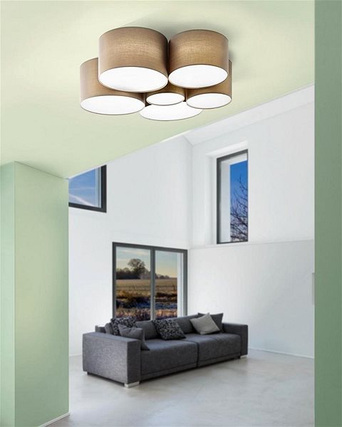 Ceiling Light Eglo 98409 - Ceiling Lamp PASTORE 6xE27/40W/230V Lifestyle