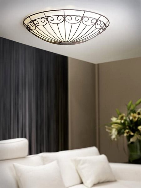 Ceiling Light Eglo 92143 - Ceiling Lamp COLTI 2xE27/60W/230V Lifestyle