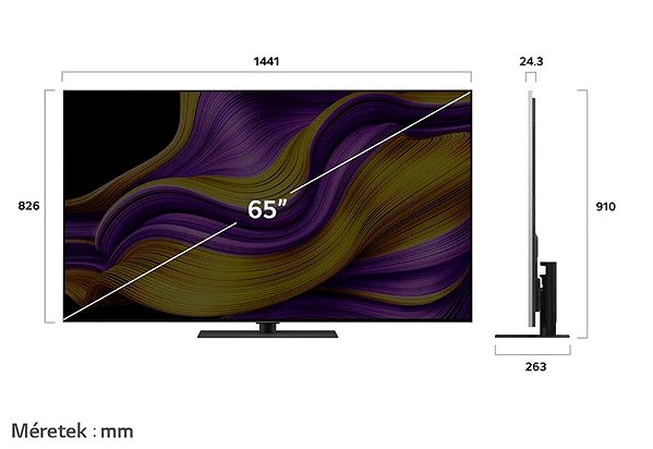 Television 65