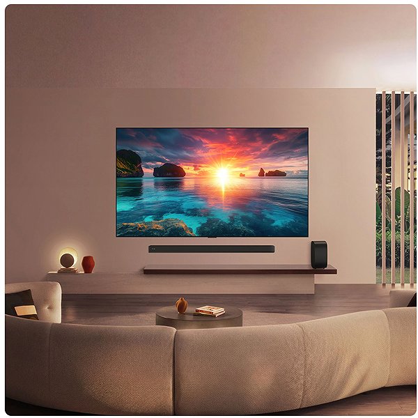 TV 65