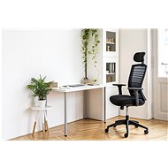 AlzaErgo Chair Horizon 1 černá - Kancelářská židle