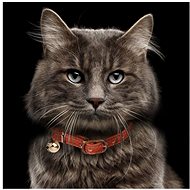 M&P Cat Obojek Berlioz hnědý - Obojek pro kočky