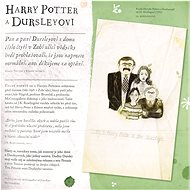 Harry Potter Cesta dějinami čar a kouzel - Kniha