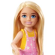 Barbie Dreamhouse Adventures Kempující Chelsea - Panenka