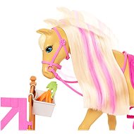 Barbie rozkošný koník s doplňky - Panenka