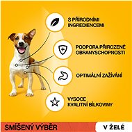 Pedigree Vital Protection kapsička masový výběr v želé pro dospělé psy 12 × 100 g - Kapsička pro psy