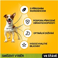 Pedigree Vital Protection kapsička masový výběr se zeleninou ve šťávě pro dospělé psy 12 × 100 g - Kapsička pro psy