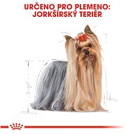 Royal Canin Yorkshire Adult 3 kg - Granule pro psy