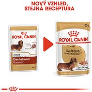 Royal Canin Dachshund 12 × 85 g - Kapsička pro psy