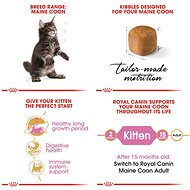 ROYAL CANIN Kitten Maine Coon Cat Food 0.4 kg